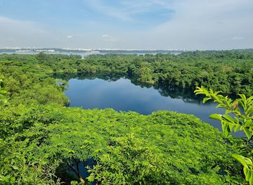 singapore/pulau-ubin/shop/bukit-puaka