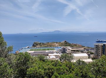 gibraltar/gibraltar-nature-reserve/shop/mediterranean-steps