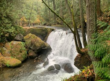 washington/bellingham/shop/whatcom-falls