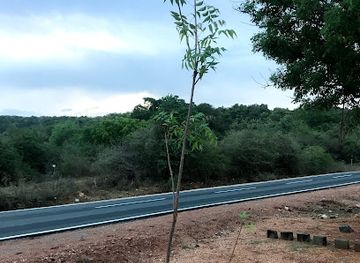 sri-lanka/trincomalee-district/shop/pearl-one-gas