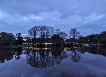louisiana/caddo-lake/shop/mossy-brake-camp-caddo-lake-swamp-tours