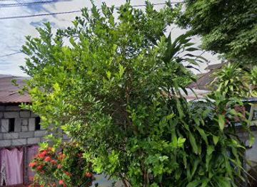 indonesia/north-sulawesi/shop/way-store