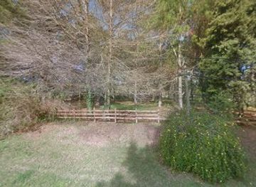 uruguay/punta-del-este/shop/deriams-store-uruguay