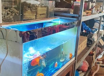 cambodia/mondulkiri/shop/ryry-store