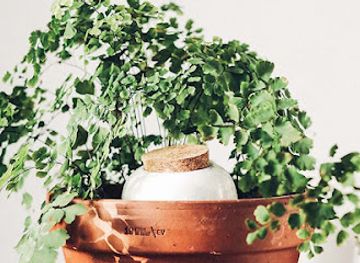 denmark/central-jutland/shop/a-piece-of-nature