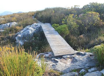 south-africa/de-hoop-nature-reserve/shop/table-mountain