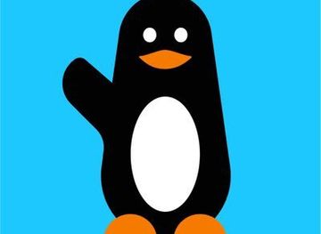 senegal/casamance/shop/multiservices-cheikh-mouhamadou-fadel-mbacke