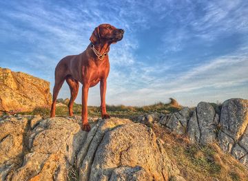 guernsey/rousse-tower/shop/pukka-tukka