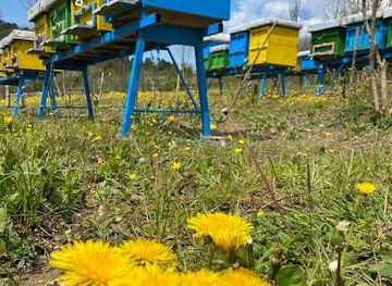 albania/valbona-valley-national-park/shop/bletari-hoxha