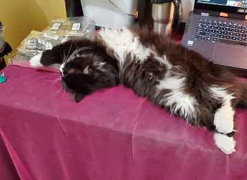 colorado/sterling/shop/dawns-queen-beezness-llc