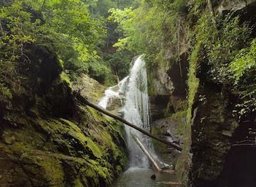 south-carolina/lake-jocassee/shop/jocassee-gorges-wilderness-area