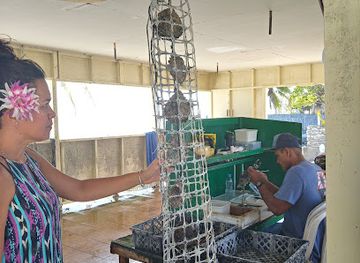 french-polynesia/tuamotu-archipelago/shop/gauguin-s-pearl-tahitian-pearl-farm