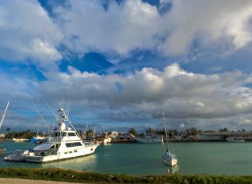tonga/kapa-island/shop/whale-swim-dive-tours