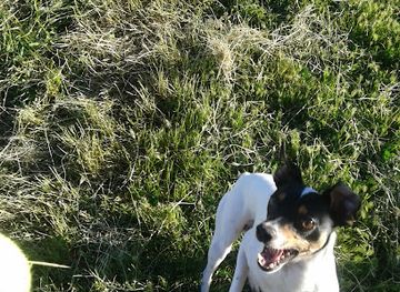 chile/colchagua-valley/shop/casa-de-paul