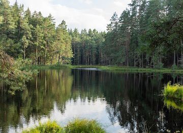 poland/suwalszczyzna/shop/wigierski-park-narodowy