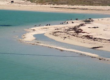 eritrea/dahlak-archipelago/shop/dahlak-archipelago