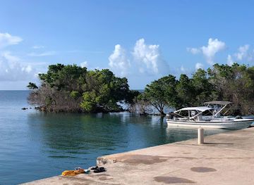 palau/ngeruangel-reef/shop/ollei-marina