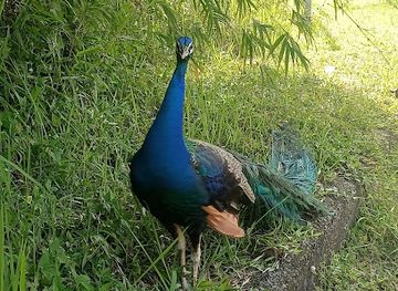 singapore/labrador-nature-reserve/shop/labrador-nature-reserve-car-park-a