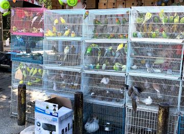 kuwait/kuwait-zoo/shop/bride-and-fish-market