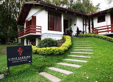 brazil/serra-gaucha/shop/lidio-carraro-vinicola-boutique