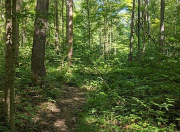 indiana/morgan-monroe-state-forest/shop/morgan-monroe-state-forest