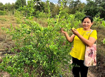 cambodia/pursat/shop/root-farm-cambodia