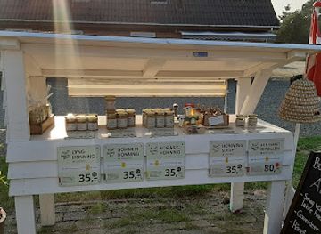 denmark/romo/shop/atzen-honning-romo