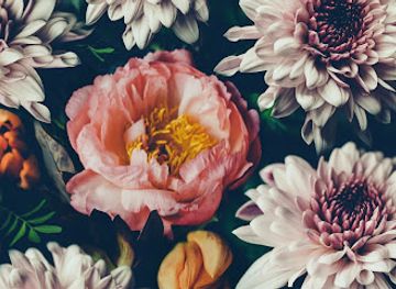 liechtenstein/balzers/shop/wanger-art-collection