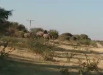 namibia/ongwediva/shop/namibia