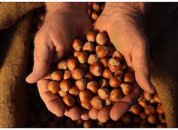 italy/langhe/shop/azienda-agricola-altalanga