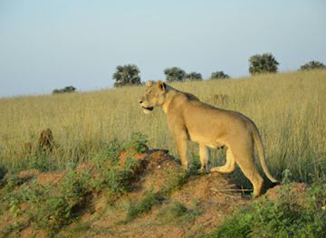 uganda/murchison-falls-national-park/shop/murchison-falls-national-park