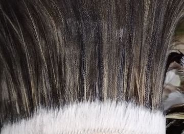 indonesia/west-papua/shop/toko-yaswar-papua-souvernir