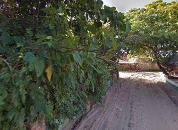 brazil/jericoacoara/shop/cactos-jeri