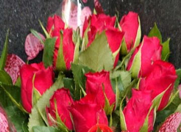 guernsey/jerbourg-point/shop/jerbourg-flower-stall