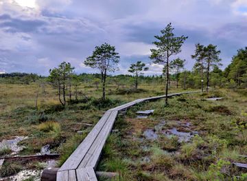finland/urho-kekkonen-national-park/shop/torronsuo-national-park