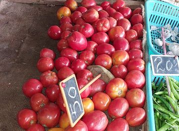 mauritius/black-river-gorges-national-park/shop/railway-tabagie