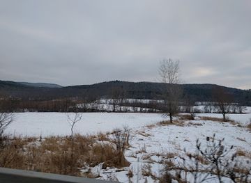 vermont/bennington/shop/vine-branches-gallery