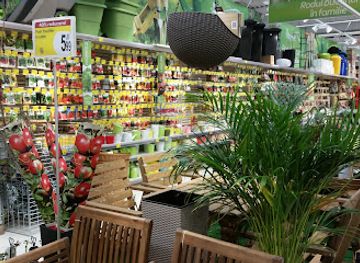 romania/timis/shop/carrefour