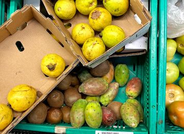 botswana/maun/shop/choppies