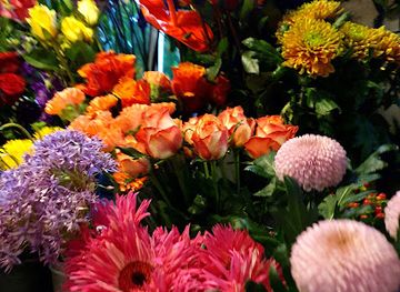 netherlands/north-brabant/shop/bloom