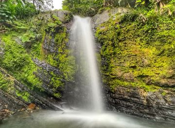 puerto-rico/yunque-national-forest/shop/juan-diego-falls