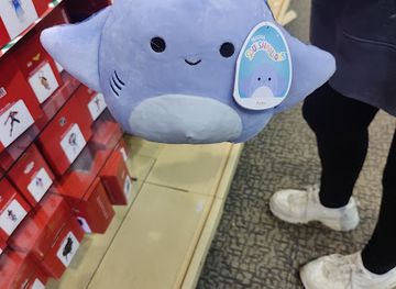 arkansas/pinnacle-mountain-state-park/shop/june-s-hallmark-shop