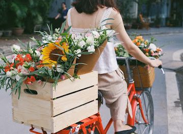 vietnam/phong-nha-ke-bang-national-park/shop/shop-hoa-tuoi-phong-nha-bo-trach-quang-binh