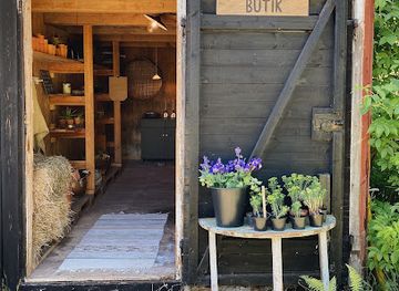 sweden/dalsland/shop/frobacken-cafe-snittblomsodling-och-gardsbutik
