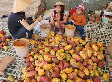 vietnam/mekong-delta/shop/alluvia-farm-chocolate-factory