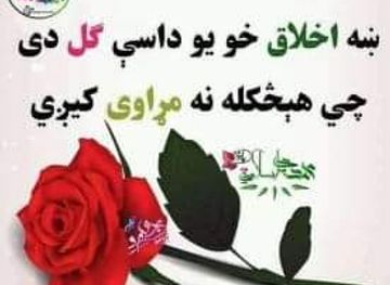 pakistan/abbottabad/shop/raza-cosmetics-and-shoes-shop