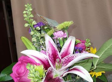 new-mexico/socorro/shop/the-christmas-store