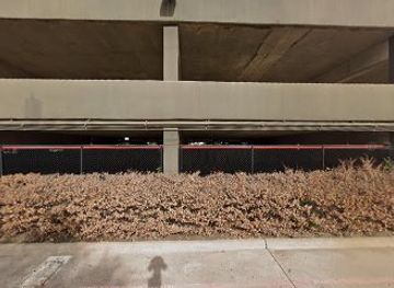 texas/dallas/shop/the-self-shop