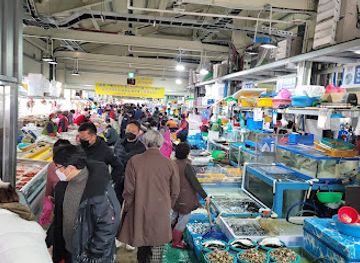south-korea/gangneung-coastal-areas/shop/jumunjin-fish-market
