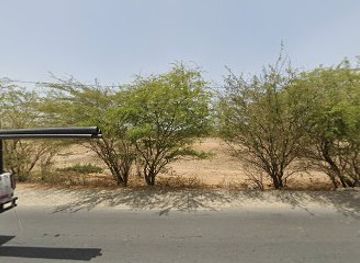 senegal/saint-louis/shop/boutique-samba-balde